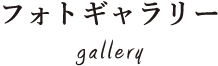 フォトギャラリー gallery