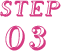 STEP03